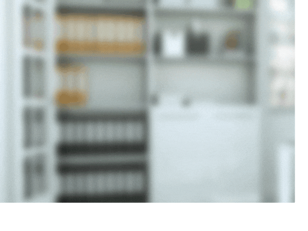 Web-SMS Anwendungsbeispiele